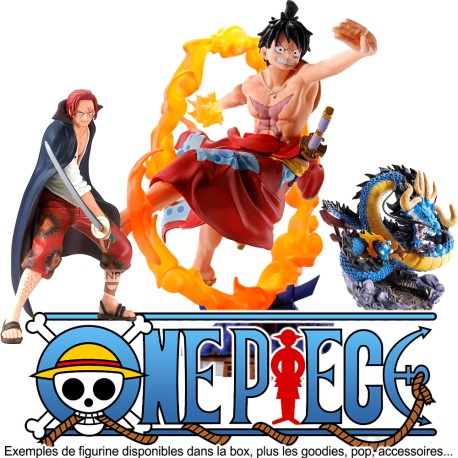 Box manga One Piece 69€ port inclus
